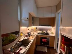 Meyer Residence (D15), Apartment #579282911